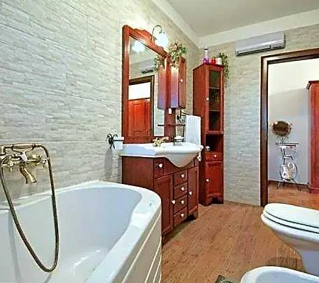 Hotel Alexander Comfortable 5*
