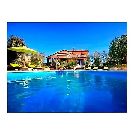 Alexander Comfortable 5* Buje