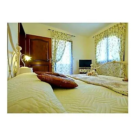 Alexander Comfortable فندق