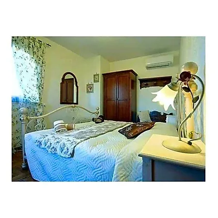 Hotel Alexander Comfortable